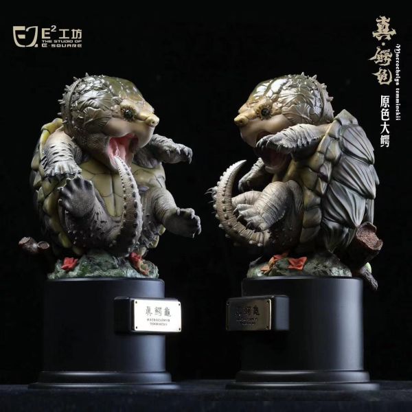 E工坊 鱷龜系列 第一彈 原色大鱷&變異大鱷&白佛鱷&黃化佛鱷 