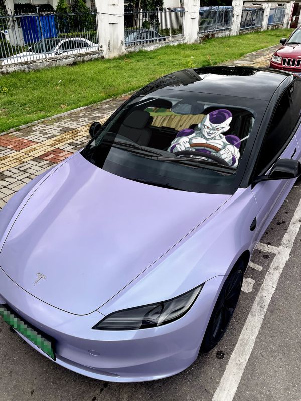 千鳥社《汽車前擋遮陽-弗利沙》龍珠弗利沙宇宙帝王 