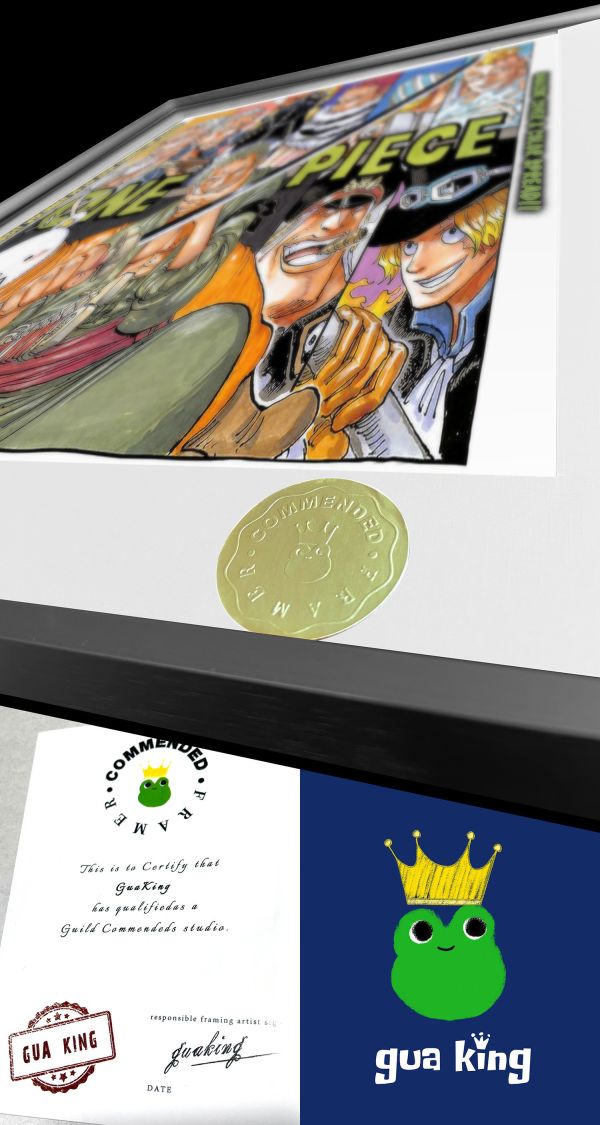 皇呱《羅羅諾亞·佐羅》海賊王三刀流劍士佐羅裝飾畫 