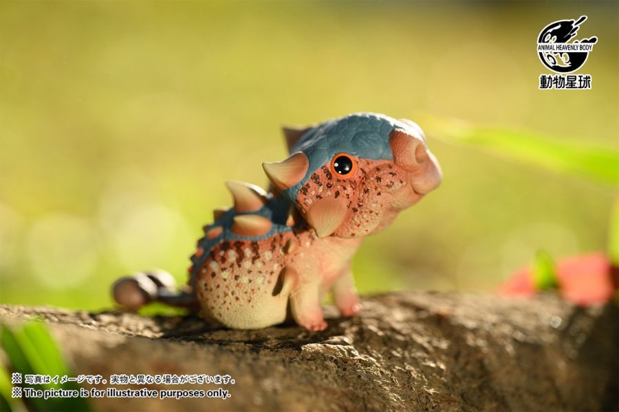 【在台現貨】動物星球 圓古生物系列盲盒第一彈 