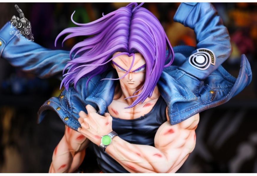 【補款】TDR Studio 激戰系列第一彈 未來少年 