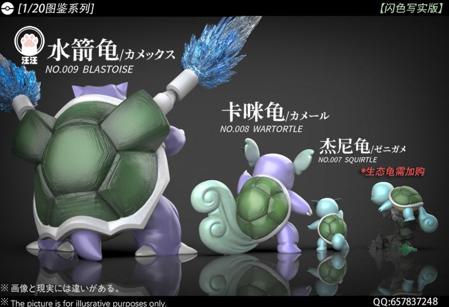 汪汪studio 水箭龜組 1/20圖鑑系列 