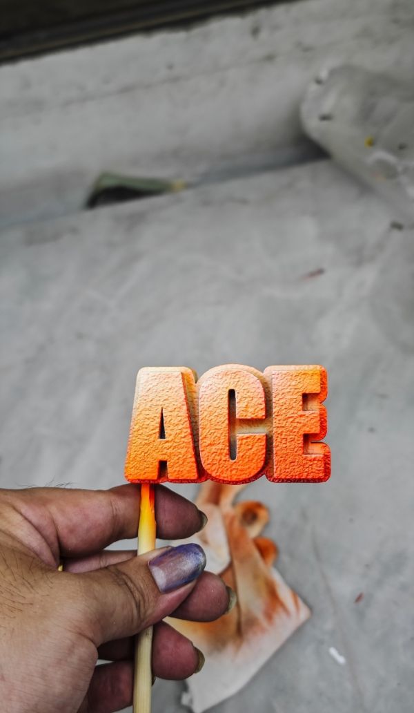 【補款】Ghost工作室 白團共鳴第二彈火拳-艾斯 