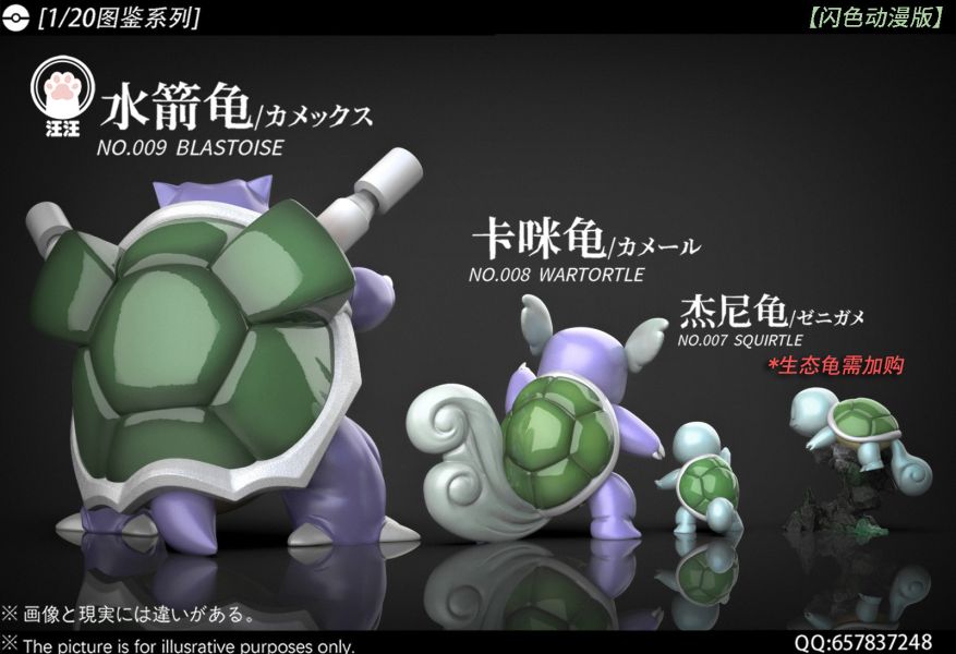 汪汪studio 水箭龜組 1/20圖鑑系列 