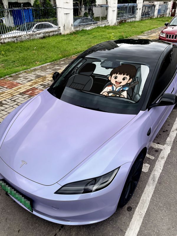 千鳥社 《汽車前擋遮陽-莎莎和大頭》孫穎莎王楚欽乒乓球 