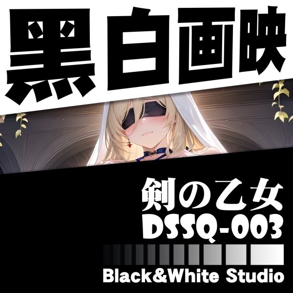 黑白畫映 B&W Studio 劍之聖女 立體裝飾畫 