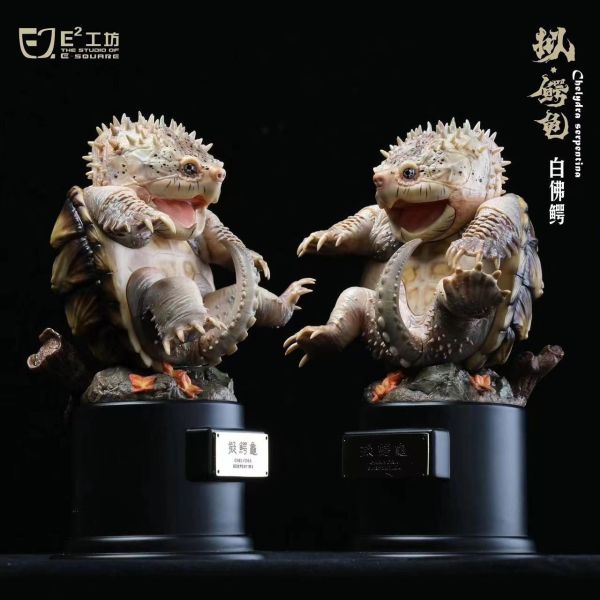 E工坊 鱷龜系列 第一彈 原色大鱷&變異大鱷&白佛鱷&黃化佛鱷 