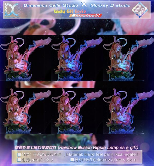 DC工作室（Dimension Cells Studio） 白星-當海王遇上海賊王 