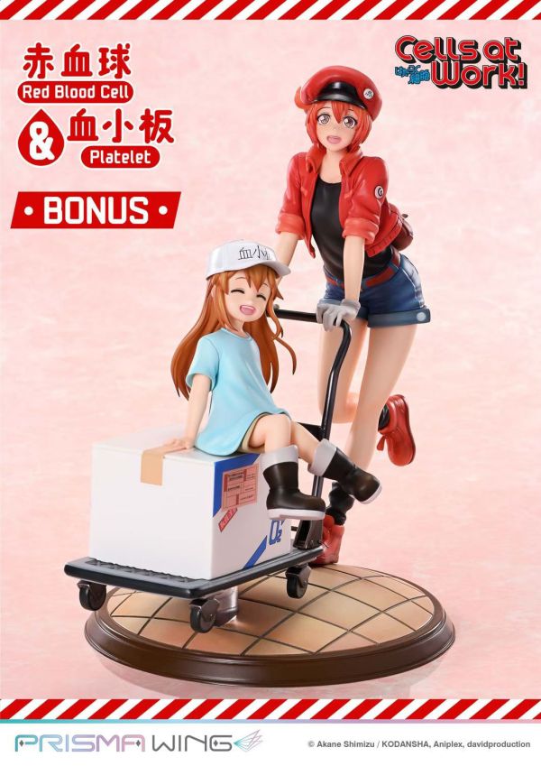 正版授權 Prisma Wing 26cm TV動畫 工作細胞 紅血球和血小板 