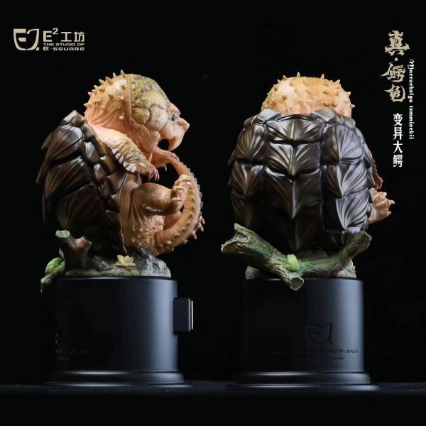 E工坊 鱷龜系列 第一彈 原色大鱷&變異大鱷&白佛鱷&黃化佛鱷 