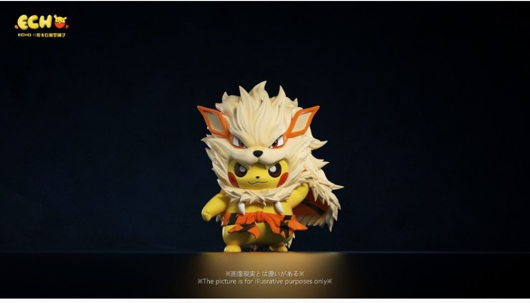 【補款】ECHO皮模鋪 studio 風速狗皮卡丘 