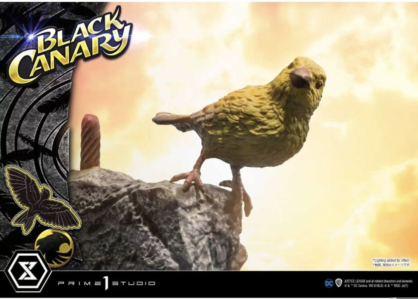 正版授權 Prime 1 Studio MMDC-49 1/3 DC系列 黑金絲雀 
