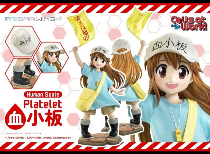 正版授權 Prime 1 Statue 100cm 工作細胞 血小板 