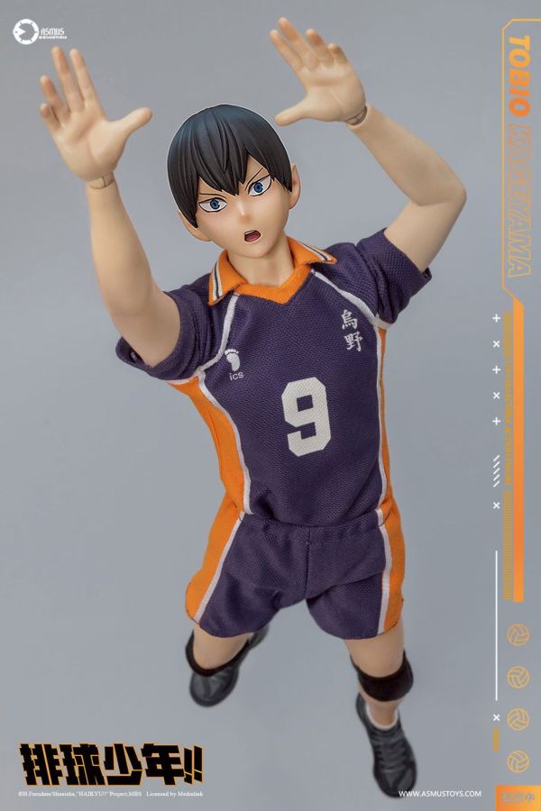 正版授權 ASMUS TOYS阿司馬玩具 1/6 排球少年影山飛雄 