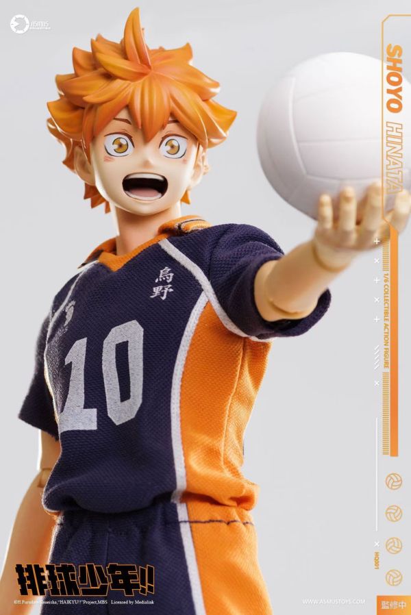 正版授權 ASMUS TOYS阿司馬玩具 1/6 排球少年 日向翔陽 