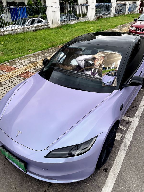 千鳥社《汽車前擋遮陽-無慘 曬太陽》鬼滅之刃無限城鬼舞辻無慘 