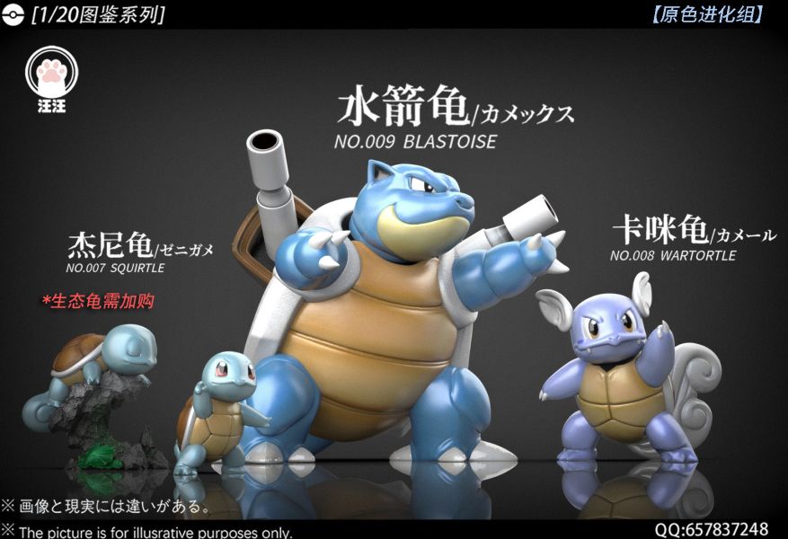 汪汪studio 水箭龜組 1/20圖鑑系列 