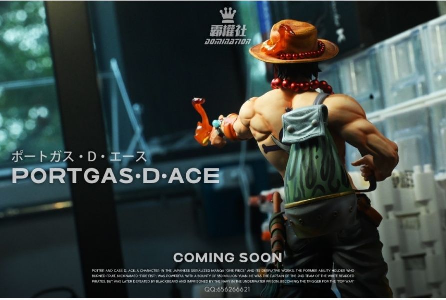 【補款】霸權社 白鬍子海賊團系列 波特卡斯·D·艾斯 