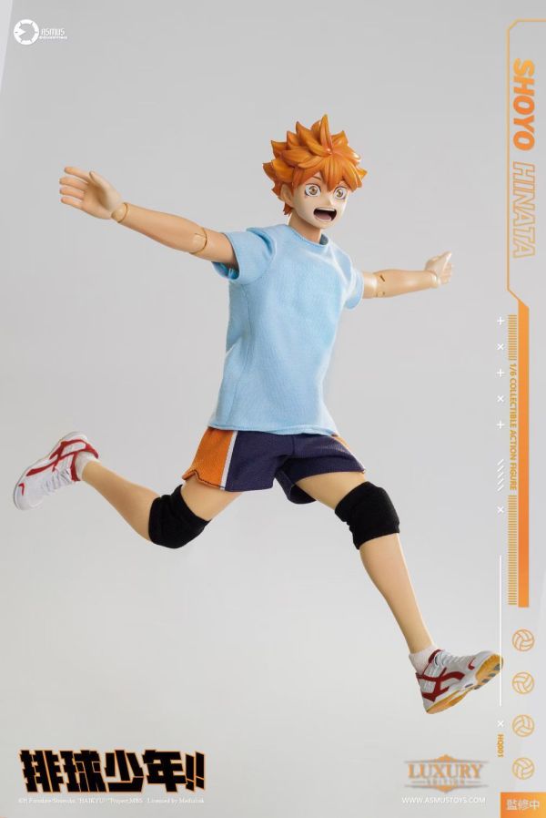 正版授權 ASMUS TOYS阿司馬玩具 1/6 排球少年 日向翔陽 