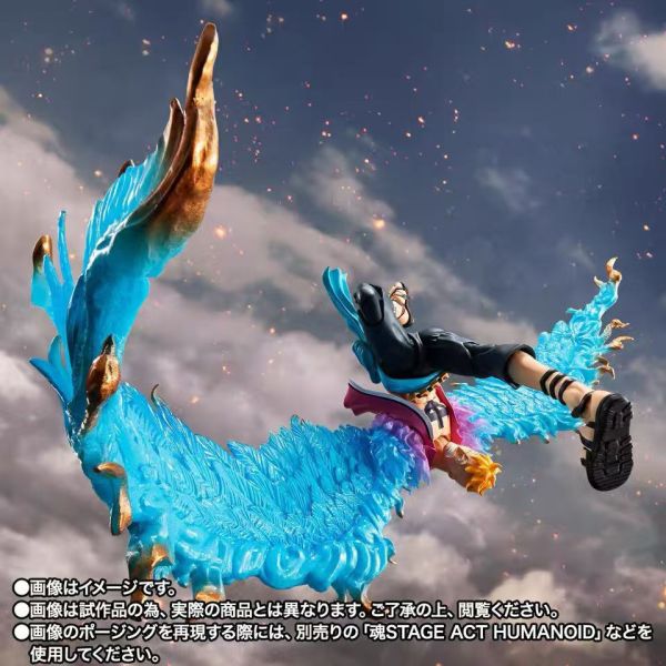正版授權 TAMASHII 萬代魂 魂限定 S.H.Figuarts 不死鳥 馬爾科 