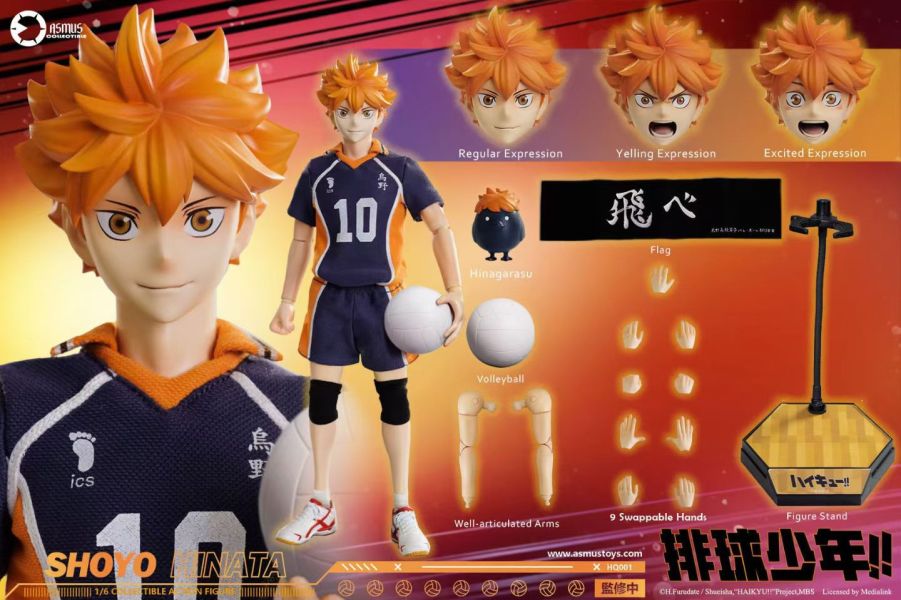 正版授權 ASMUS TOYS阿司馬玩具 1/6 排球少年 日向翔陽 
