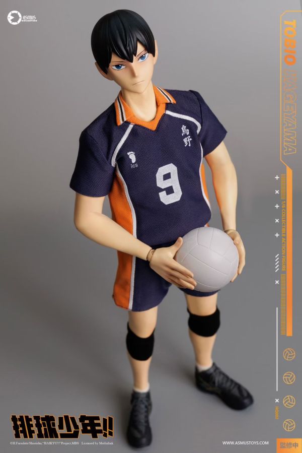 正版授權 ASMUS TOYS阿司馬玩具 1/6 排球少年影山飛雄 