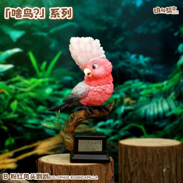 傑刻動漫×動物幫幫農場 啥鳥系列第四彈 灰鸚鵡&粉紅鳳頭鸚鵡 