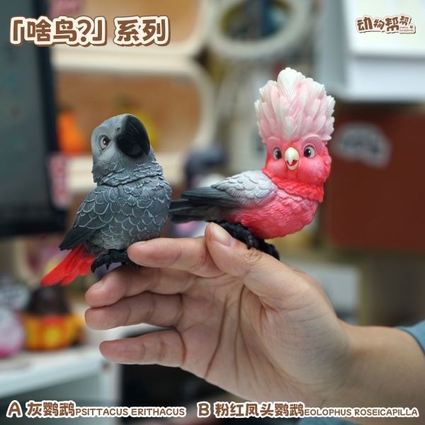 傑刻動漫×動物幫幫農場 啥鳥系列第四彈 灰鸚鵡&粉紅鳳頭鸚鵡 