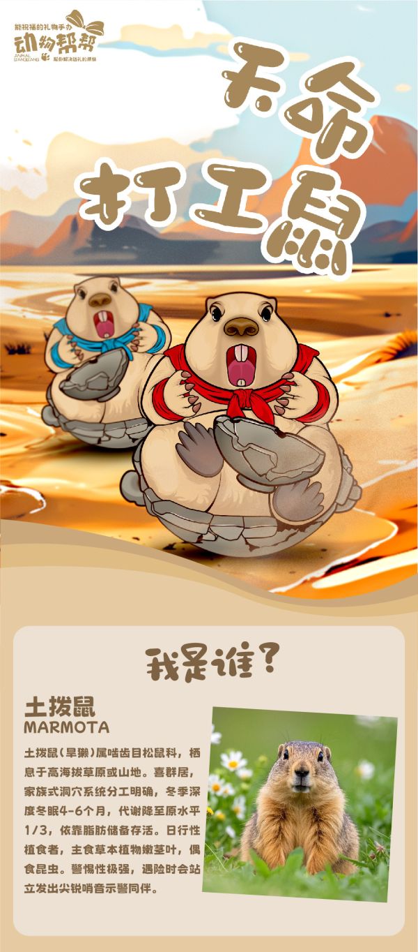 傑刻動漫×動物幫幫 土撥鼠潮玩桌面擺件 