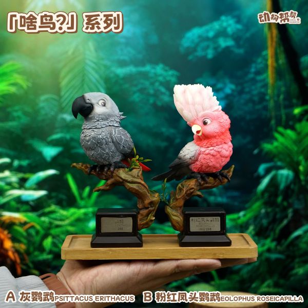 傑刻動漫×動物幫幫農場 啥鳥系列第四彈 灰鸚鵡&粉紅鳳頭鸚鵡 