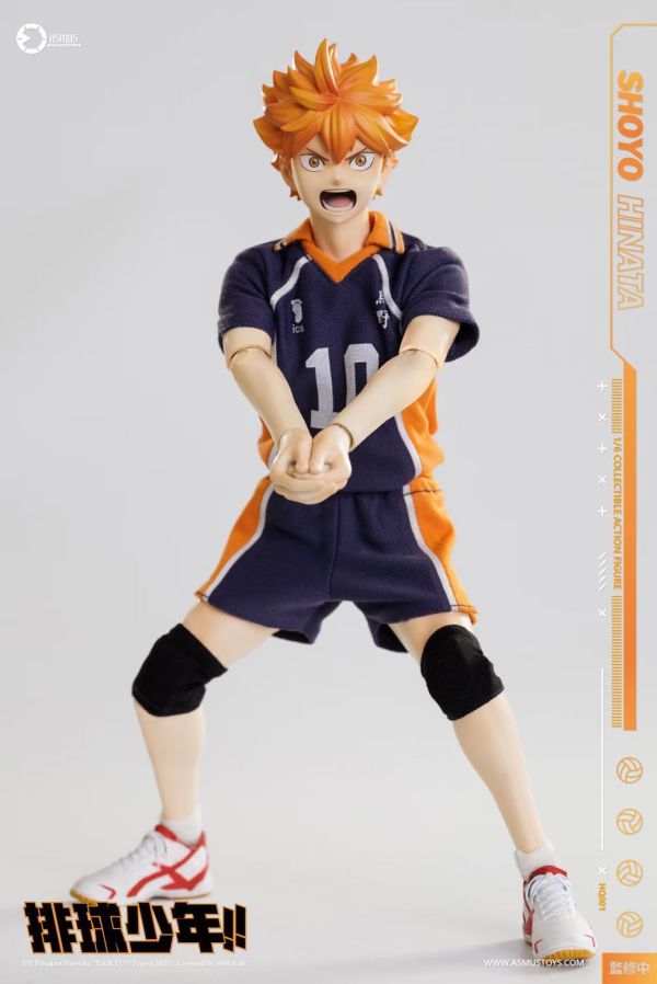 正版授權 ASMUS TOYS阿司馬玩具 1/6 排球少年 日向翔陽 