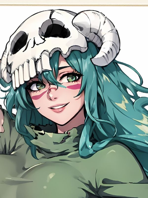 星空 《妮露》妮莉艾露境界死神bleach十刃裝飾畫 