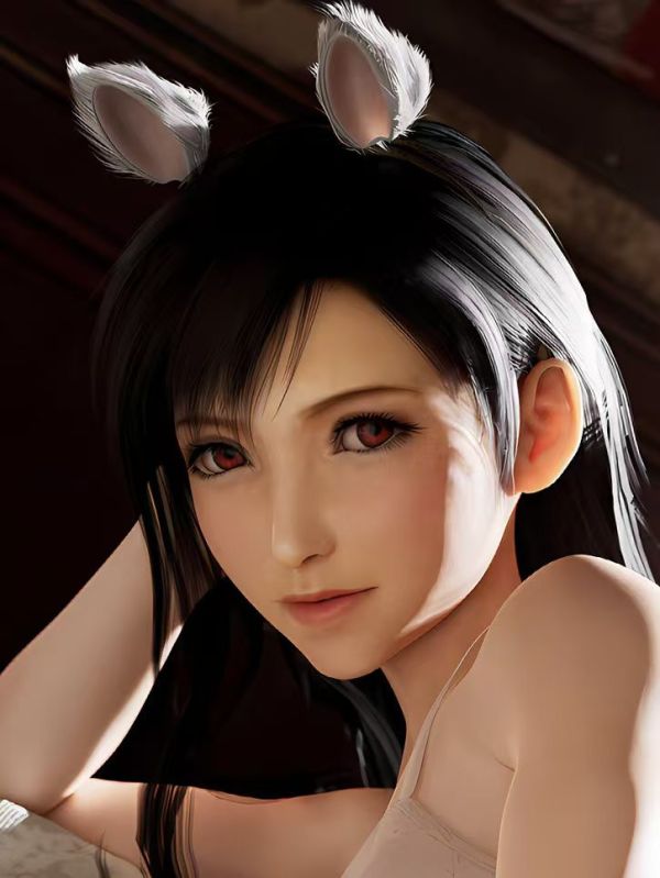 星空工作室 《貓咪蒂法》tifa 最終幻想裝飾畫 