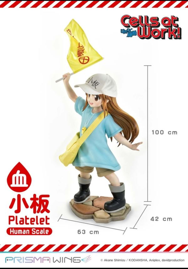 正版授權 Prime 1 Statue 100cm 工作細胞 血小板 