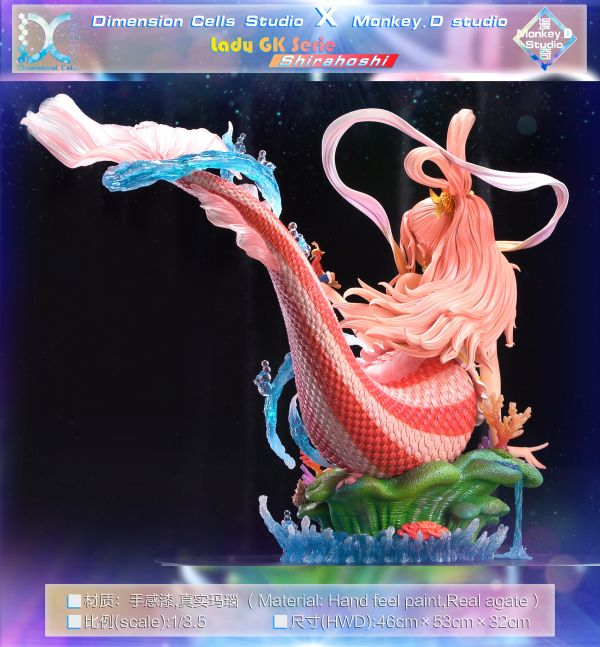 DC工作室（Dimension Cells Studio） 白星-當海王遇上海賊王 