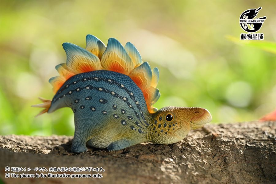 【在台現貨】動物星球 圓古生物系列盲盒第一彈 