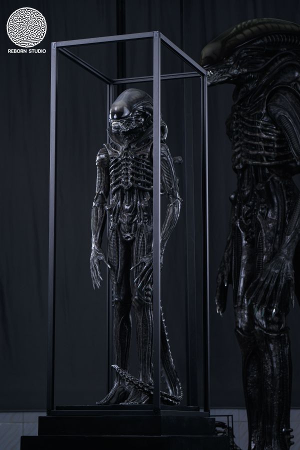 REBORN STUDIO 博物館異形 