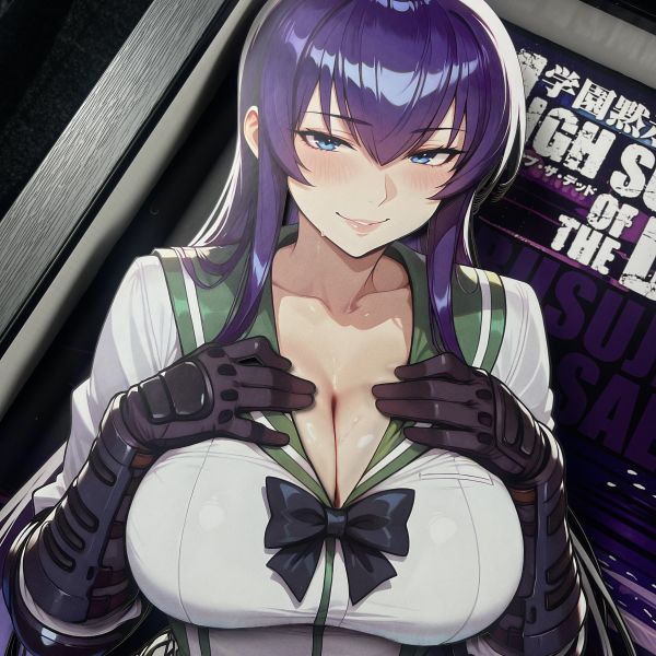 黑白畫映B&W Studio 毒島冴子 立體裝飾畫 