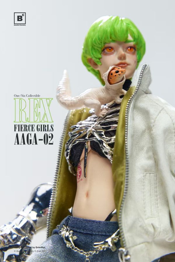 正版授權 Beautiful Chemistry×Entei Ryu 1/6 兇猛少女系列 僱傭槍兵 Rex雷克斯 