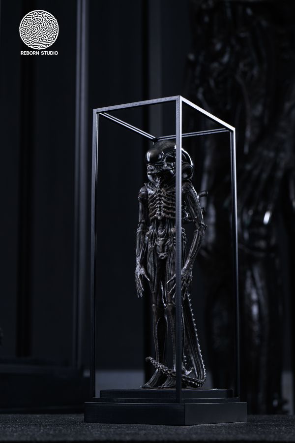 REBORN STUDIO 博物館異形 