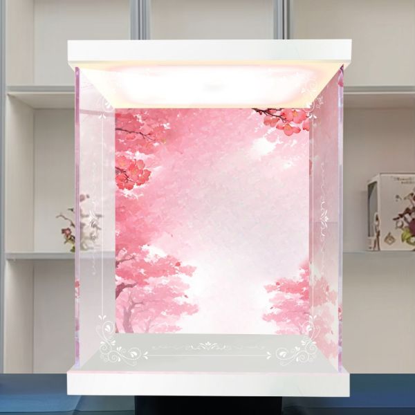阿喵畫社 1/7櫻透流光中型防塵發光公仔箱 