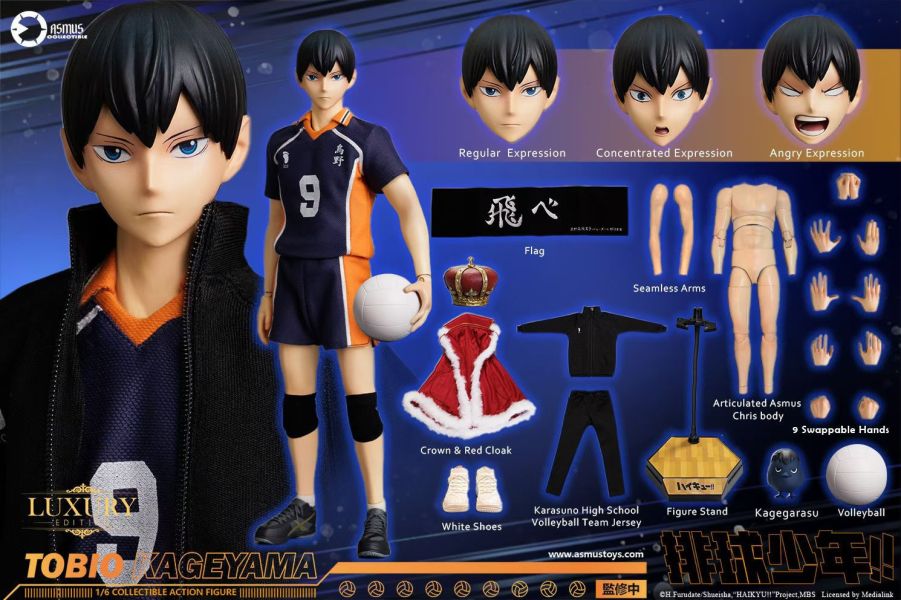 正版授權 ASMUS TOYS阿司馬玩具 1/6 排球少年影山飛雄 