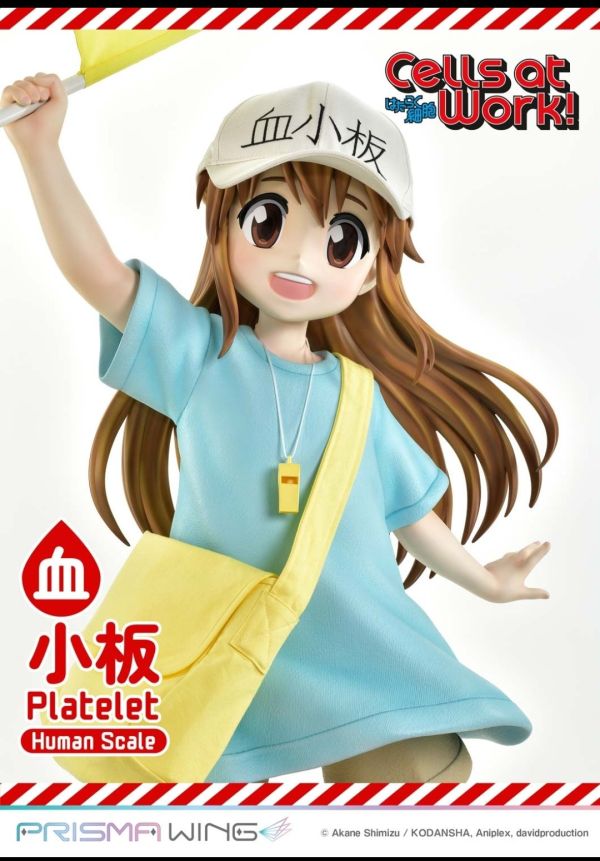 正版授權 Prime 1 Statue 100cm 工作細胞 血小板 