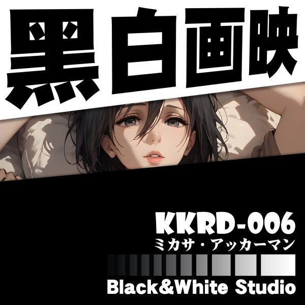 黑白畫映 B&W Studio 三笠·阿克曼 立體裝飾畫 