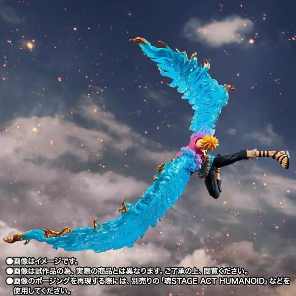 正版授權 TAMASHII 萬代魂 魂限定 S.H.Figuarts 不死鳥 馬爾科 