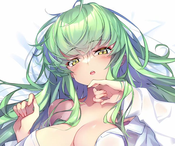 H2工作室 《CC》叛逆的魯魯修CODE GEASS反叛的魯路修裝飾畫 