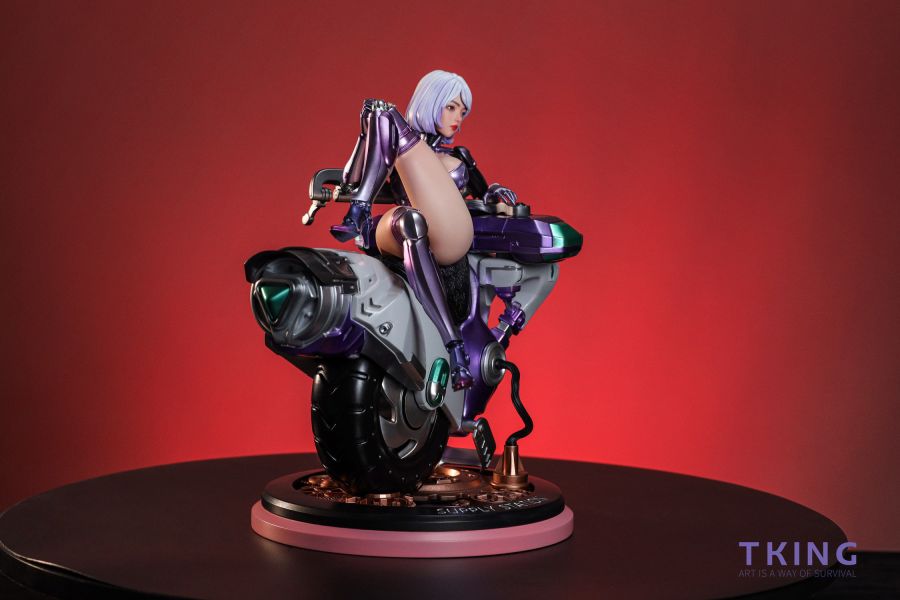 TKING 機器姬系列之補給站GK白模 