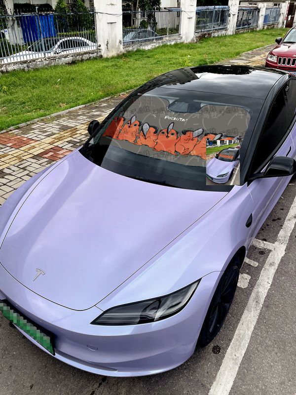 千鳥社《汽車前擋遮陽-波奇塔》鏈鋸人電鋸人 