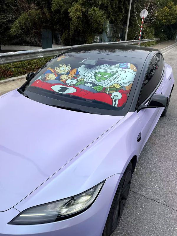 千鳥社 《汽車前擋遮陽-龍珠》七龍珠孫悟空比克界王汽車遮陽防曬 