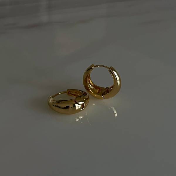 Deborah Hoop Earrings 冬日圈圈 